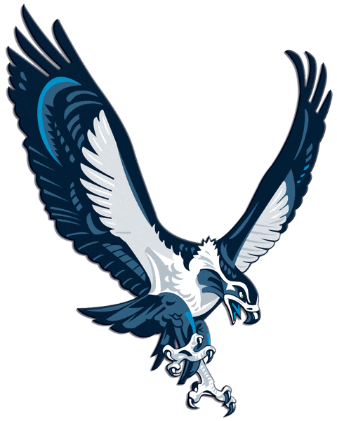 Seattle Seahawks 2002-2011 Alternate Logo t shirts DIY iron ons